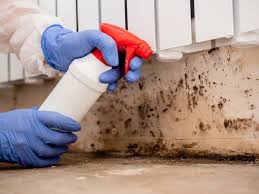 Best HVAC Mold Inspection and Cleaning  in Bicknell, IN